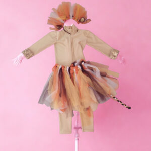 Rental Costume 02