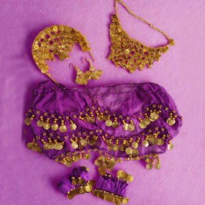 Belly Dance Performance Set