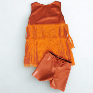Rental Costume 10