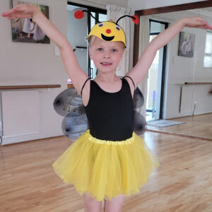 Rental Costume 14