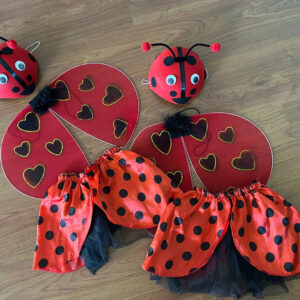 Rental Costume 15