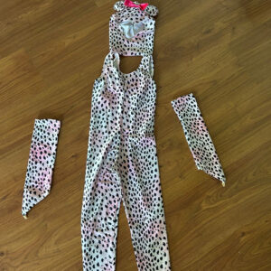 Rental Costume 17