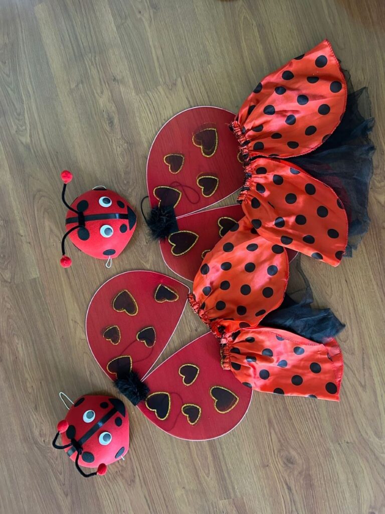 Rental Costume 15